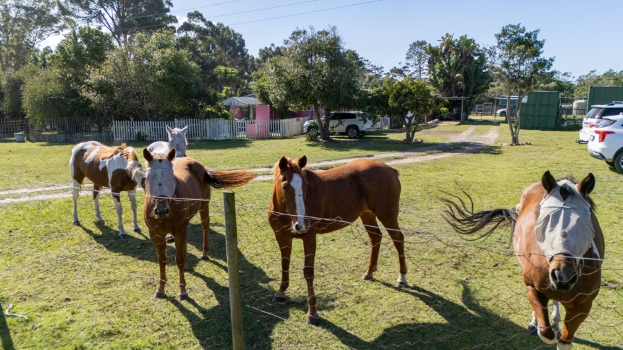 Commercial Property for Sale in Plettenberg Bay Rural Western Cape